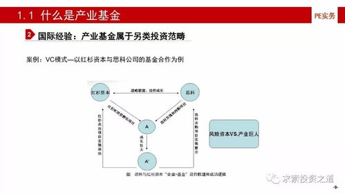 產業基金的建立、投資策略、投后管理與風險控制